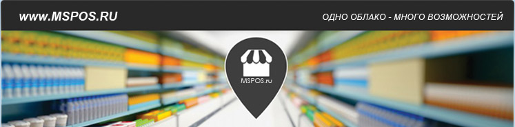 Microinvest 